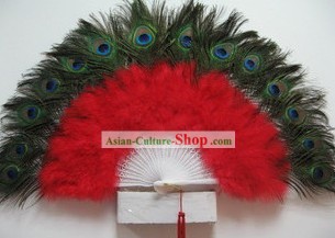 Peacock Feather Fan Danza