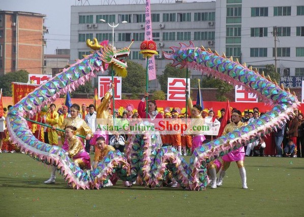 Compettion and Parade Hand Made Net Dragon Dance Costume for Women