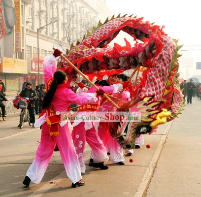 Traje de Dança Clássica Chinesa Dragão para as Mulheres