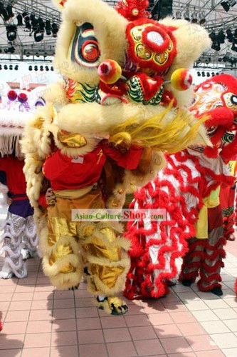 Wettbewerb und Parade Lion Dance Kostüm komplett Set