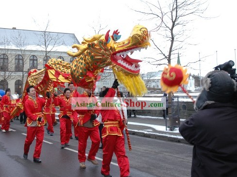Peking Dragon Dance Equipment Complete Set