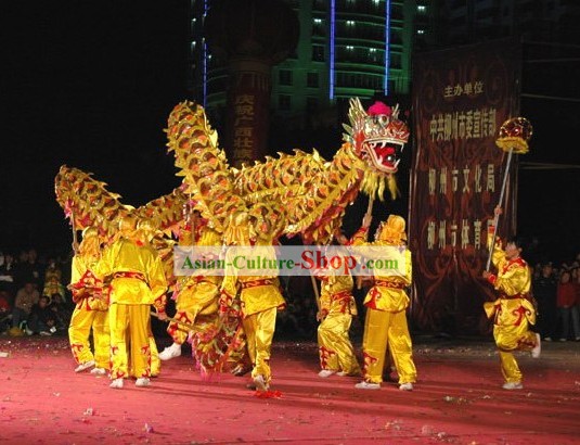 Professional Competition Net Dragon Dance Costume Complete Set