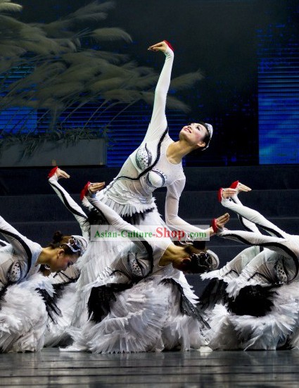 Chinese Swan Dance Costume Complete Set for Women