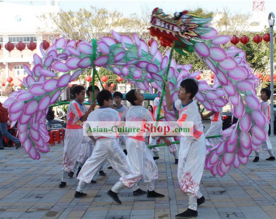 Traditional Chinese Lotus Dragon Dance Costumes Complete Set