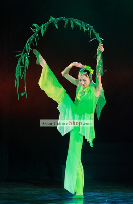Green Willow Leaf Dance Costume
