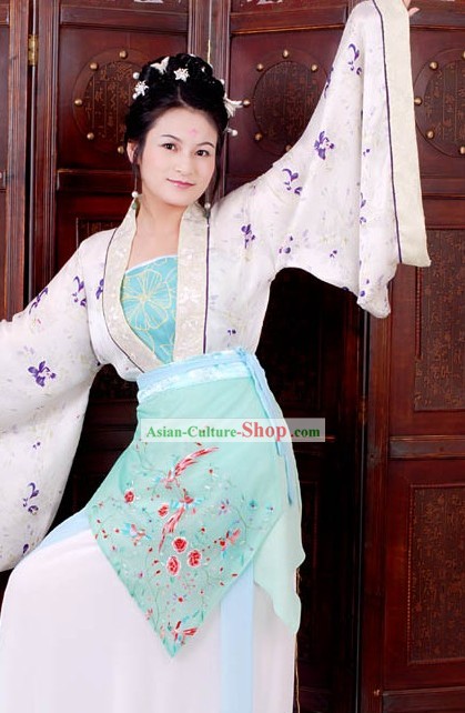 Chinese Classical Solo Dance Embroidered Birds Costume