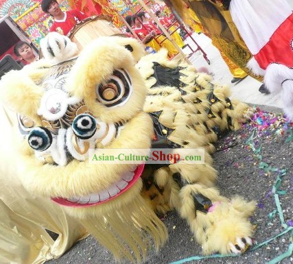 Supreme Competition and Performance Lion Dance Costume Complete Set