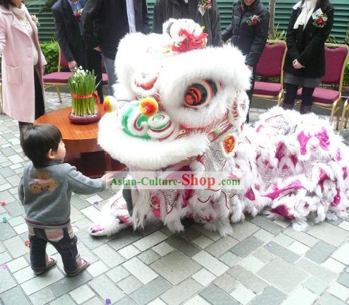 Top Handmade China Lion Dance Costume Complete Set