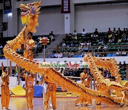 Traditional Golden Net Dragon Dance Costume Complete Set