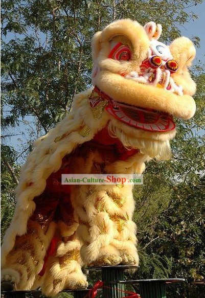 Festival and Opening Ceremony Supreme Chinese Lion Dance Costume Complete Set