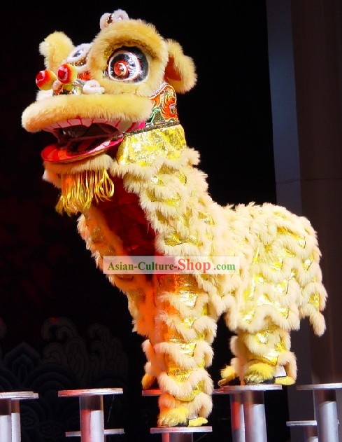 Standard Long Wool Southern Lion Dance Costumes Complete Set for Kids