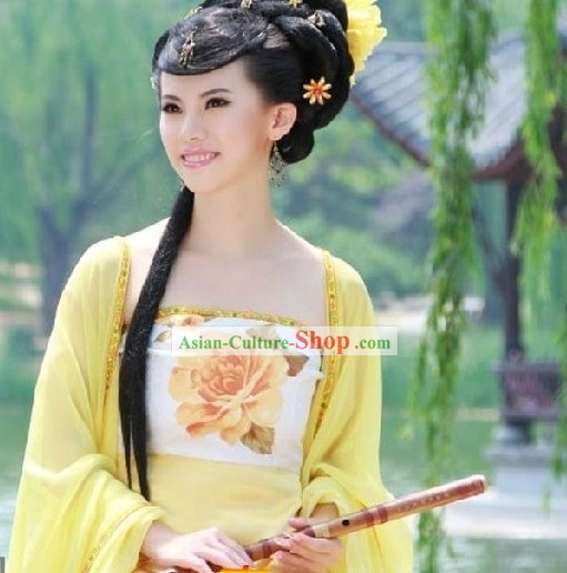 Ancient Chinese Tang Dynasty Costume for Women
