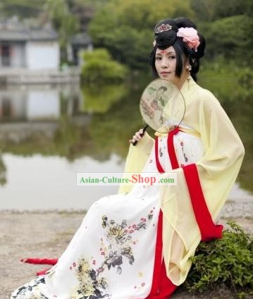Ancient Chinese Tang Dynasty Palace Lady Costume