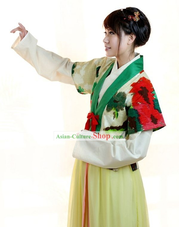 Traditional Chinese Banbi Hanfu Clothing for Women
