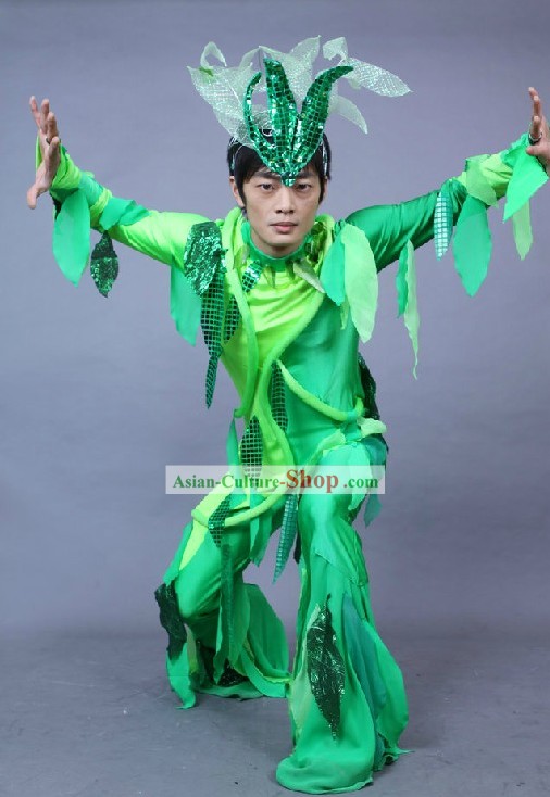 Chinese Green Leaf Dance Costumes Complete Set