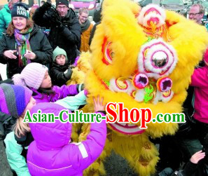 Yellow Happy New Year Supreme Quality Lion Dance Costume Complete Set