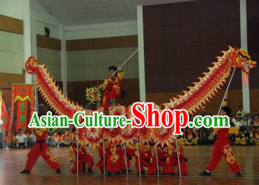 Top Professional Dragon Dance Costume for 9-10 People