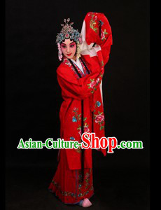 Peking Opera Hua Dan Long Sleeve Costumes and Skirt for Women