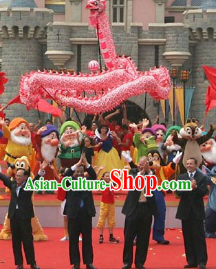 Chinese Lunar New Year Parade Supreme Luminated Dragon Dance Costume Complete Set