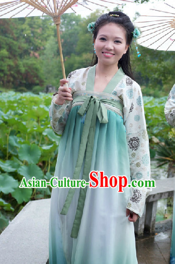 Ancient Chinese Tang Dynasty Skirt Dress for Women