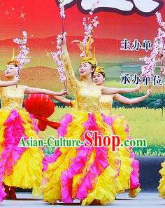 Novelty Dance Costumes and Headdress Complete Set