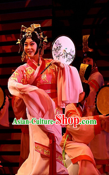 Wang Zhaojun Chinese Opera Costumes and Headpieces Complete Set