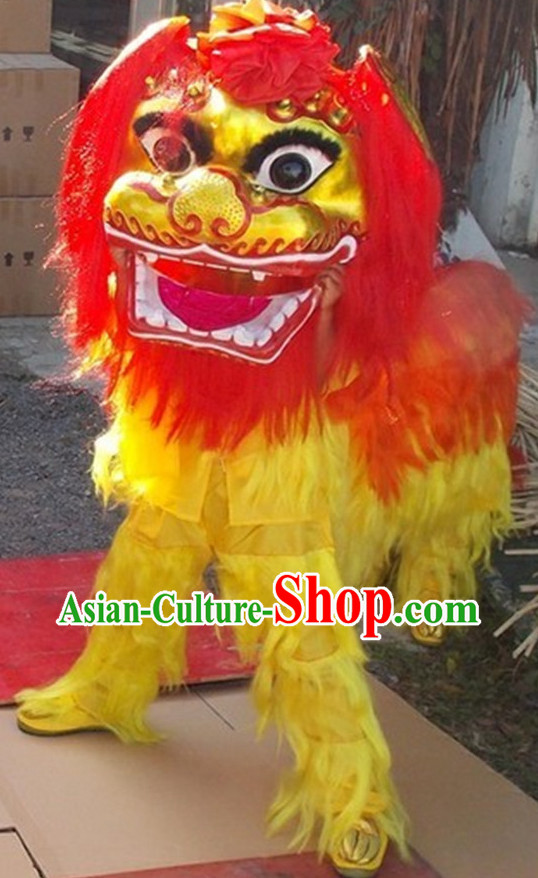 Celebration Costumes of Chinese Lion Dance