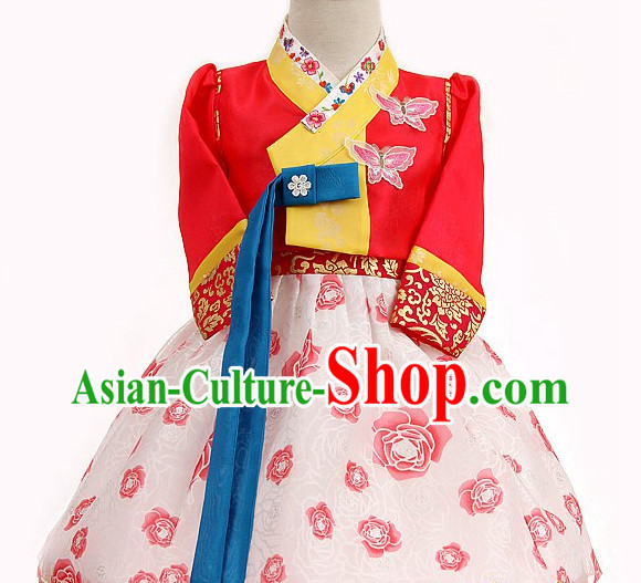 Folk Korean Foral Special Occasion Dress for Children