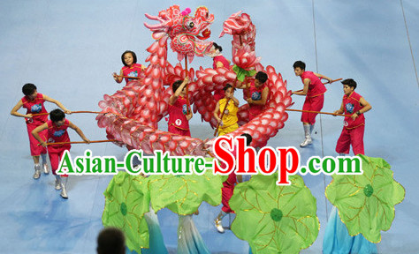 Handmade Lotus Ancient Style Dragon Costumes Complete Set for Adults