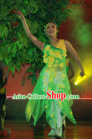 Professional Chinese Spring Folk Dance Costumes for Women Adults Kids