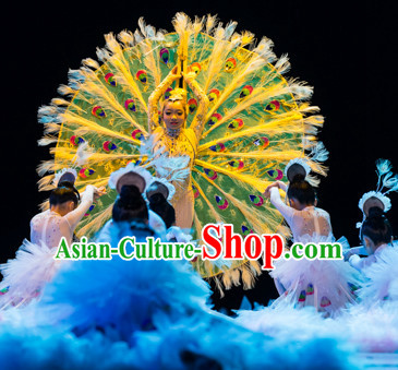Chinese Primary School Students Peacock Dance Outfits Costumes Complete Set for Kids Girls