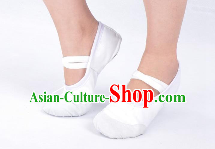 Traditional Chinese Folk Dance Shoes, Women Embroidered Dancing Shoes, Chinese Fabric Shoes for Women