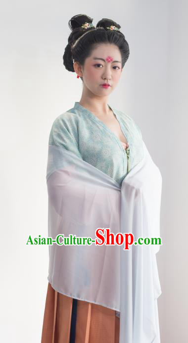 Traditional Chinese Ancient Tang Dynasty Imperial Concubine Costume Complete Set for Women