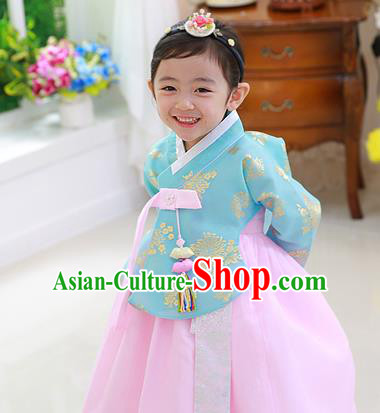 Asian Korean National Traditional Handmade Formal Occasions Girls Embroidered Blue Blouse and Pink Dress Costume Hanbok Clothing for Kids