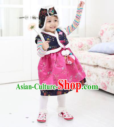 Asian Korean National Traditional Handmade Formal Occasions Girls Embroidery Hanbok Costume Blue Vest and Dress Complete Set for Kids