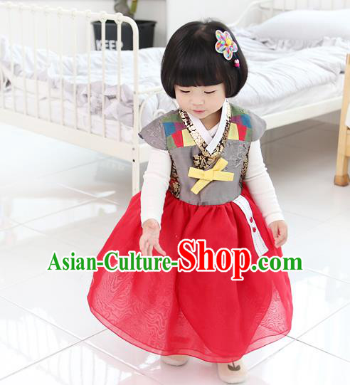 Asian Korean National Traditional Handmade Formal Occasions Girls Embroidery Hanbok Costume Red Dress Complete Set for Kids