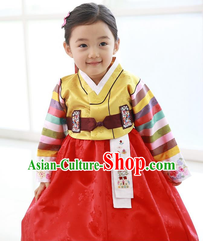 Traditional Korean National Handmade Formal Occasions Girls Hanbok Costume Embroidered Yellow Blouse and Red Dress for Kids