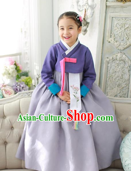 Traditional Korean National Handmade Formal Occasions Girls Hanbok Costume Embroidered Purple Blouse and Grey Dress for Kids