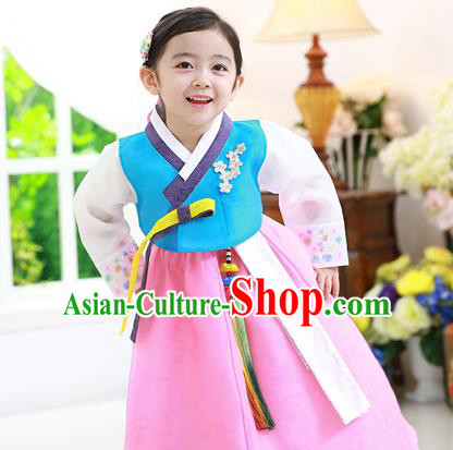 Traditional Korean National Handmade Formal Occasions Girls Hanbok Costume Embroidered Blue Blouse and Pink Dress for Kids