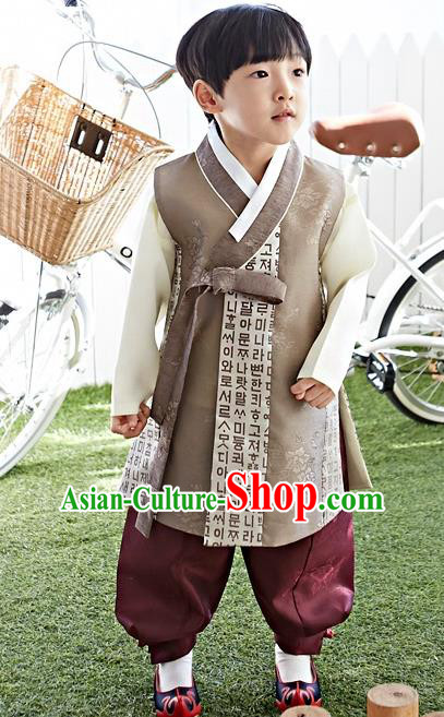 Asian Korean National Traditional Handmade Formal Occasions Boys Embroidery Brown Hanbok Costume Complete Set for Kids