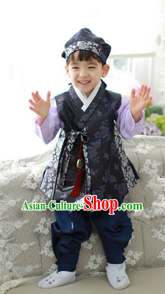 Asian Korean National Traditional Handmade Formal Occasions Boys Embroidery Purple Hanbok Costume Complete Set for Kids