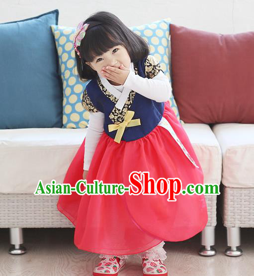 Traditional Korean National Handmade Formal Occasions Girls Embroidery Hanbok Costume Blue Blouse and Red Dress Complete Set for Kids