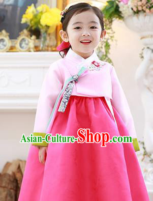 Asian Korean National Handmade Formal Occasions Embroidery Blouse and Pink Dress Hanbok Costume for Kids
