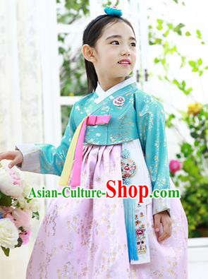 Asian Korean National Handmade Formal Occasions Embroidery Green Blouse and Pink Dress Hanbok Costume for Kids