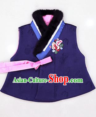 Asian Korean National Traditional Handmade Formal Occasions Embroidered Blue Hanbok Waistcoat for Kids
