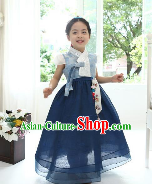 Asian Korean National Handmade Formal Occasions Wedding Bride Clothing Embroidered Blue Blouse and Dress Palace Hanbok Costume for Kids