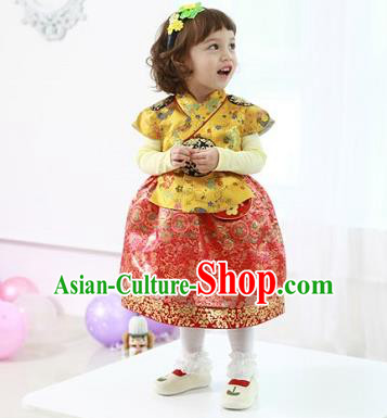 Asian Korean National Handmade Formal Occasions Wedding Bride Clothing Embroidered Yellow Blouse and Red Dress Palace Hanbok Costume for Kids