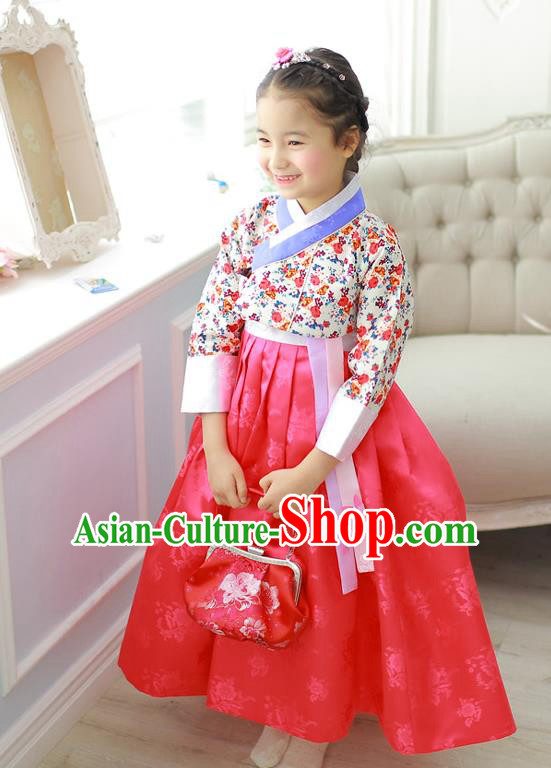 Korean National Handmade Formal Occasions Girls Hanbok Costume Embroidered Blouse and Red Veil Dress for Kids