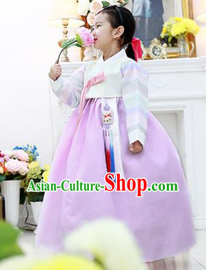 Korean National Handmade Formal Occasions Girls Hanbok Costume Embroidered White Blouse and Purple Dress for Kids