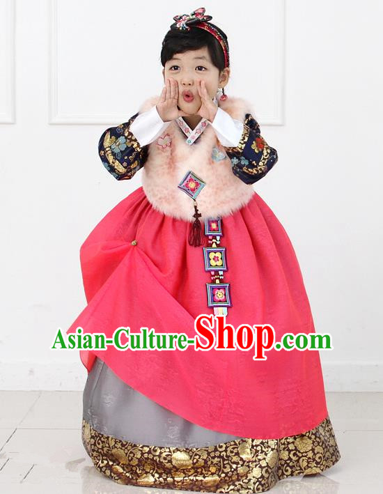 Korean National Handmade Formal Occasions Girls Hanbok Costume Embroidered Brown Vest and Red Dress for Kids